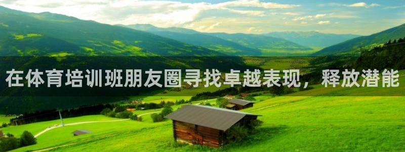 极悦平台客服团队：在体育培训班朋友圈寻找卓越表现，释