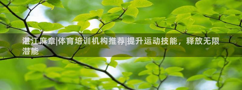 极悦平台是正规平台吗安全吗可靠吗：湛江麻章|体育培训