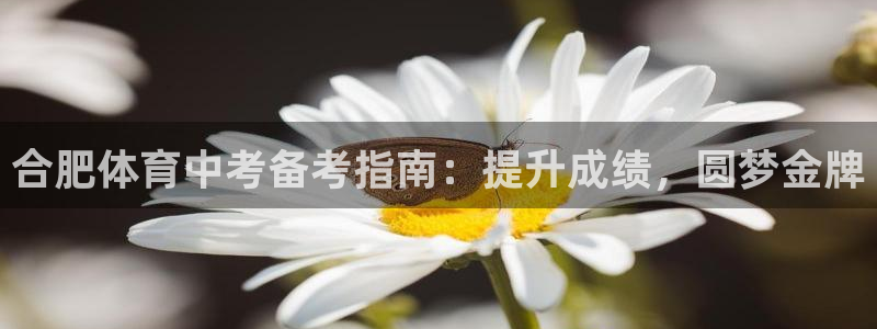 极悦娱乐负责人是谁：合肥体育中考备考指南：提升成绩，