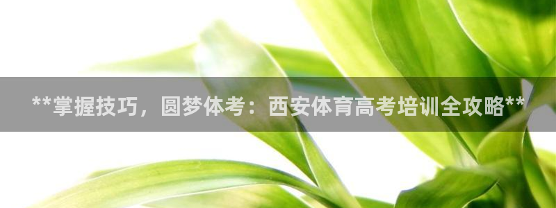 极悦平台注册登录不上：**掌握技巧，圆梦体考：西安体