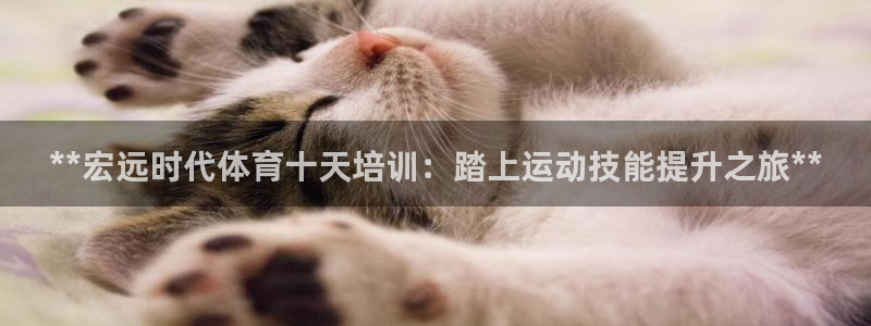 加盟极悦教育怎么样：**宏远时代体育十天培训：踏上运