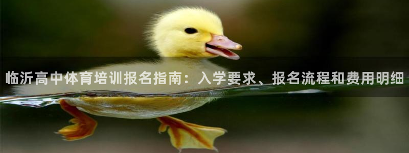 极悦平台注册申请流程详解：临沂高中体育培训报名指南：
