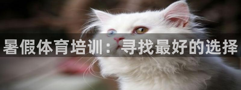极悦娱乐最新版本更新内容介绍：暑假体育培训：寻找最好
