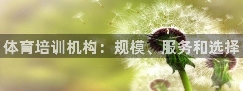 极悦平台注册登录：体育培训机构：规模、服务和选择