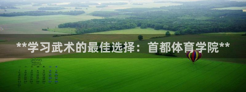 极悦平台是什么：**学习武术的最佳选择：首都体育学院
