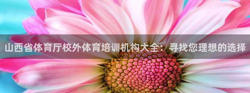 极悦官网下载最新版本更新内容视频：山西省体育厅校外体