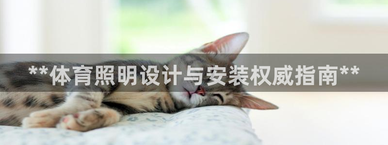 极悦娱乐挂机赚钱是真的吗吗：**体育照明设计与安装权