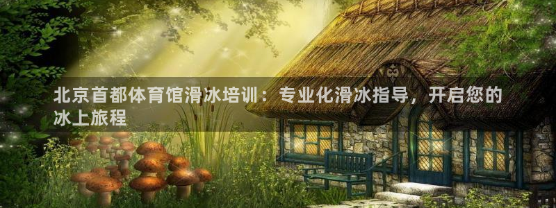 极悦官方网站app下载软件：北京首都体育馆滑冰培训：