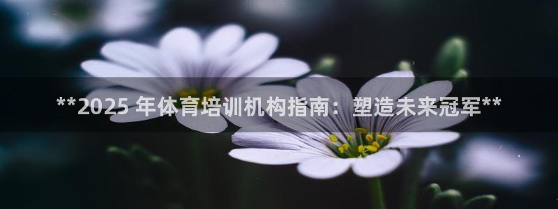 极悦官网旗舰店地址：**2025 年体育培训机构指南