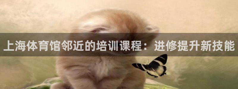 加盟极悦教育怎么样：上海体育馆邻近的培训课程：进修提