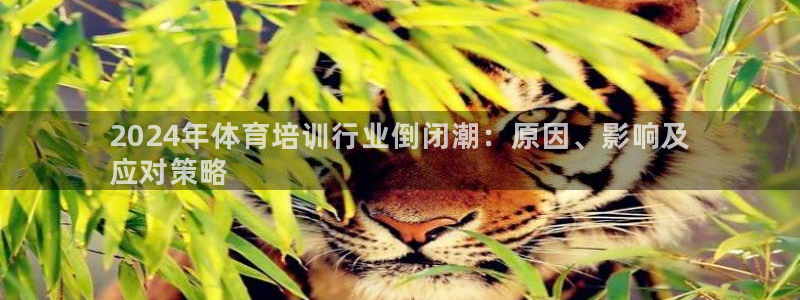 极悦平台客服的联系方式是什么：2024年体育培训行业