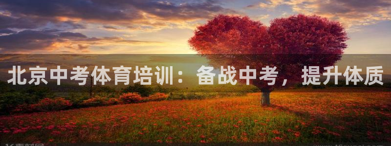 极悦平台股东有哪些：北京中考体育培训：备战中考，提升