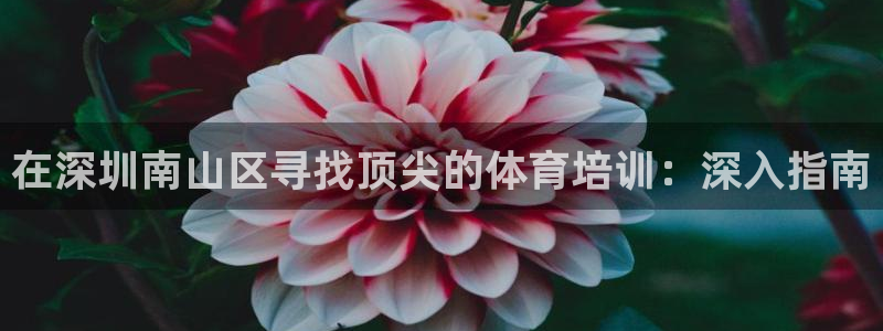 极悦平台app安全吗可靠吗：在深圳南山区寻找顶尖的体