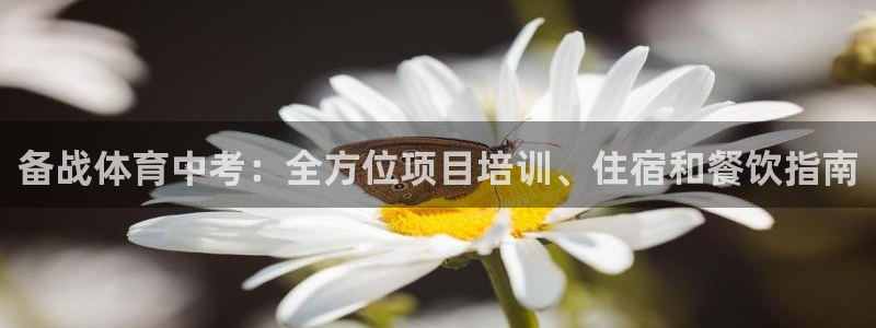 极悦平台注册申请流程详解：备战体育中考：全方位项目培