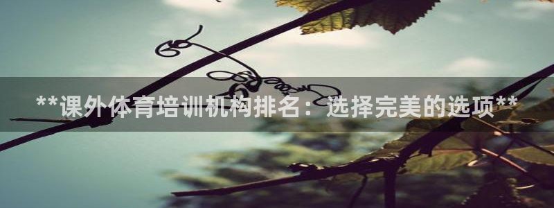 极悦娱乐贴吧最新消息：**课外体育培训机构排名：选择