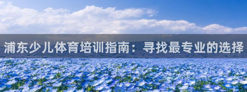 极悦生活家是什么平台：浦东少儿体育培训指南：寻找最专