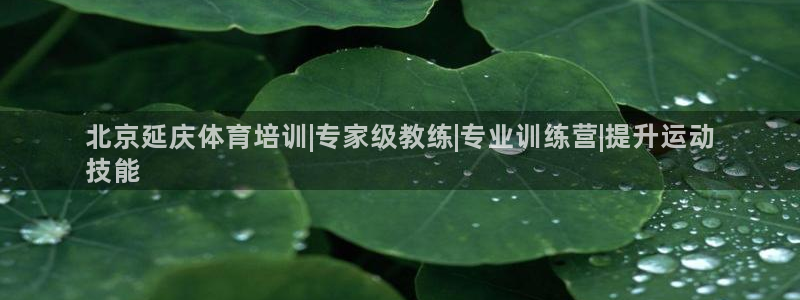 极悦娱乐的创始人背景故事：北京延庆体育培训|专家级教