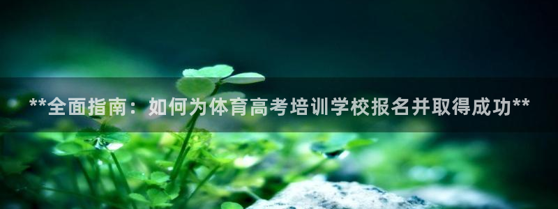 极悦娱乐官网最新版本更新内容：**全面指南：如何为体