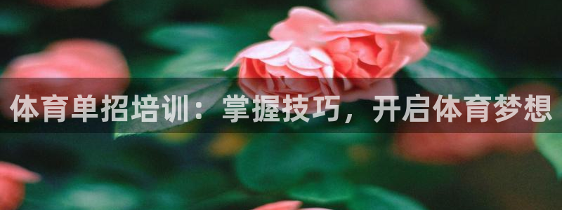 极悦娱乐官网下载app：体育单招培训：掌握技巧，开启