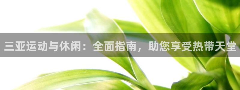 极悦平台官方网站是什么：三亚运动与休闲：全面指南，助