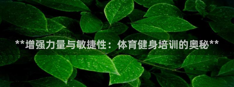 极悦平台的注册流程及注意事项：**增强力量与敏捷性：