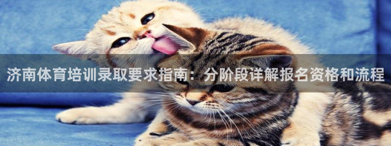 极悦平台注册申请流程详解图片：济南体育培训录取要求指