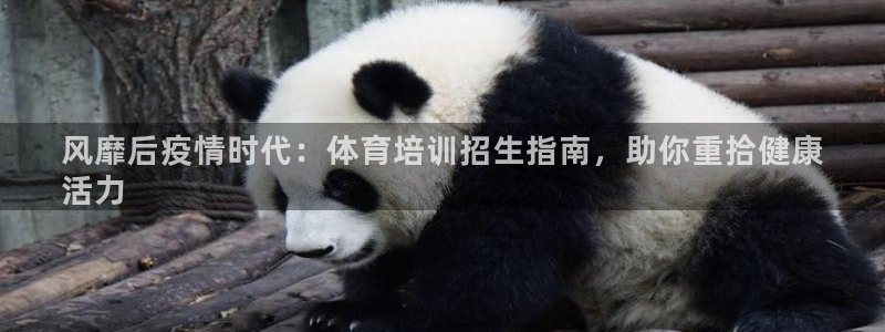 极悦平台官网登录入口：风靡后疫情时代：体育培训招生指