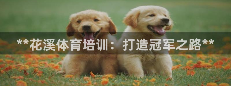 极悦平台app二维码怎么弄出来：**花溪体育培训：打
