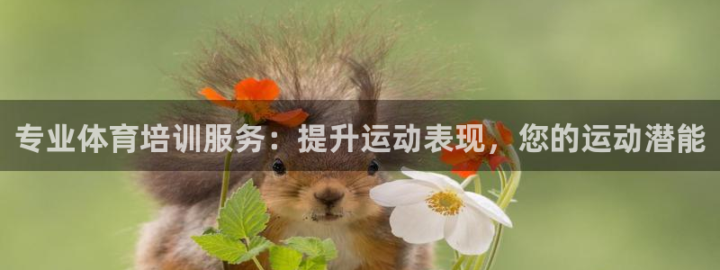 极悦平台客服的联系方式：专业体育培训服务：提升运动表