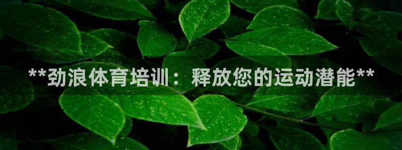 极悦平台安全吗可靠吗：**劲浪体育培训：释放您的运动