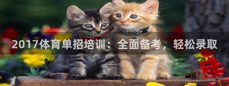 极悦平台注册和登录页面在哪：2017体育单招培训：全