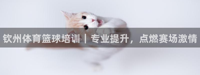 极悦娱乐挂机赚钱是真的吗安全吗：钦州体育篮球培训｜专