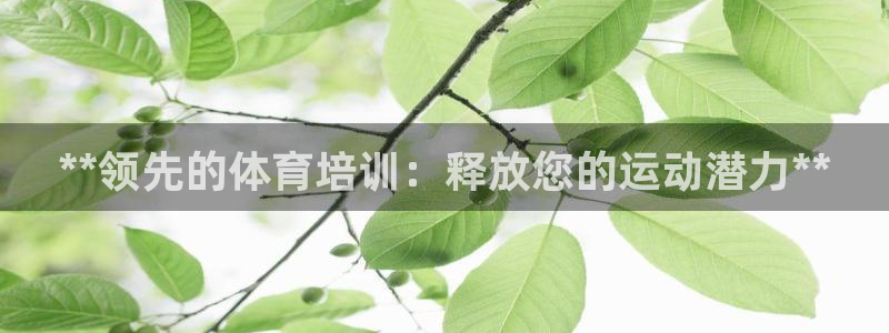 极悦平台注册资金多少：**领先的体育培训：释放您的运