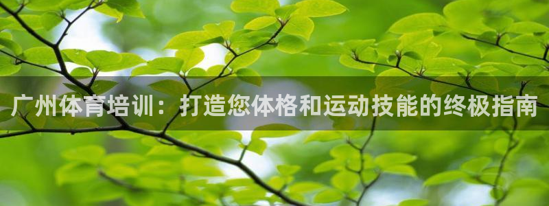 极悦平台股东是谁：广州体育培训：打造您体格和运动技能