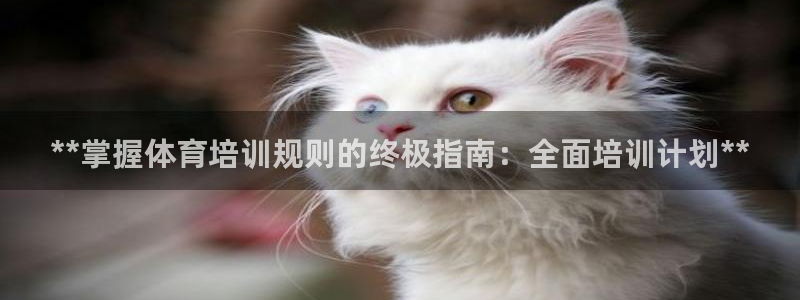极悦娱乐登录网站每天的工作内容：**掌握体育培训规则