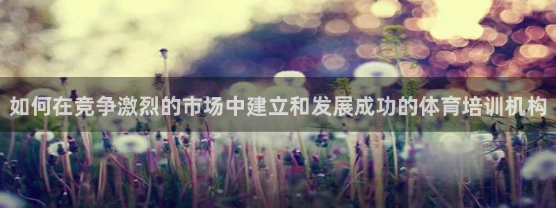 极悦平台是什么平台的：如何在竞争激烈的市场中建立和发
