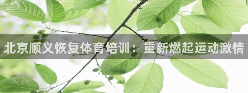 极悦平台注册和登录页面不一样：北京顺义恢复体育培训：