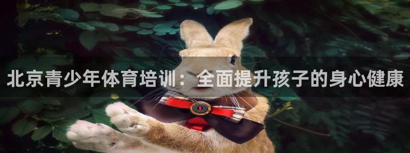 极悦平台官方网址查询：北京青少年体育培训：全面提升孩