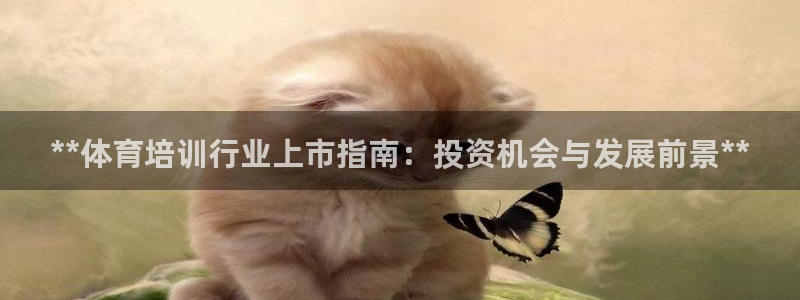 极悦平台注册申请流程详解图：**体育培训行业上市指南