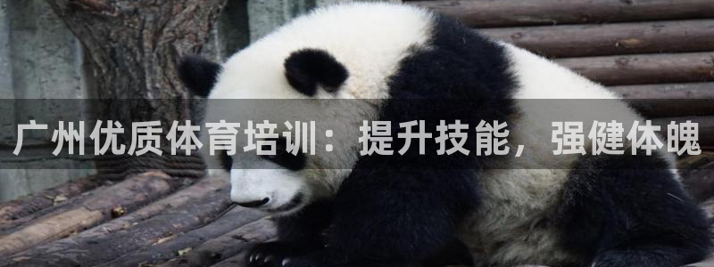 极悦牙膏怎么样：广州优质体育培训：提升技能，强健体魄