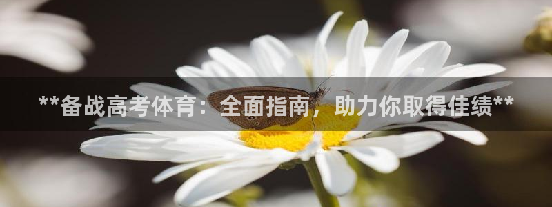 极悦官方网站入口网址：**备战高考体育：全面指南，助