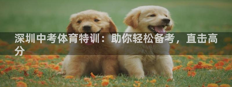极悦娱乐代理多少钱：深圳中考体育特训：助你轻松备考，