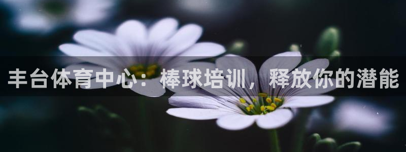极悦生活家是什么平台：丰台体育中心：棒球培训，释放你