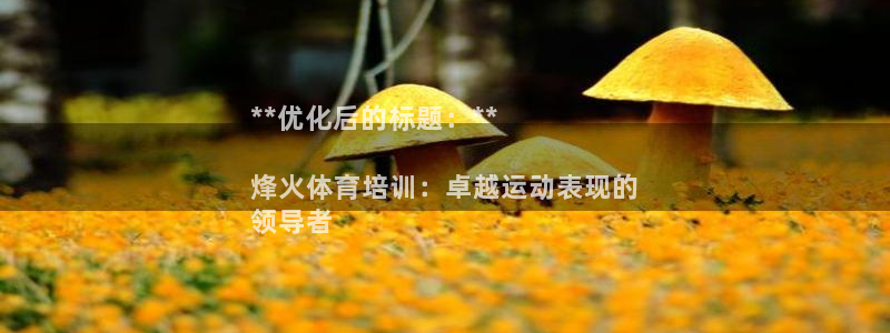 极悦平台使用教程图解：**优化后的标题：**

烽火