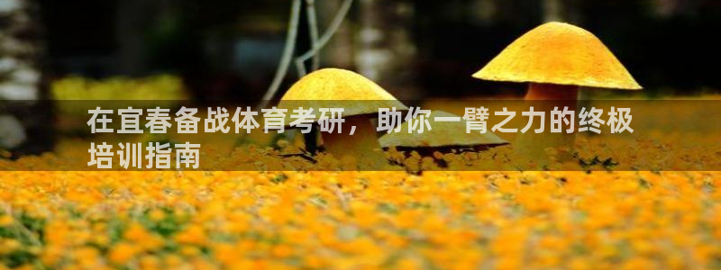 极悦平台官方网站首页登录：在宜春备战体育考研，助你一