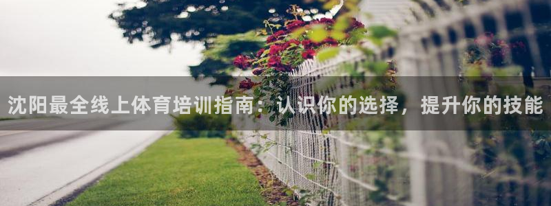 加盟极悦教育怎么样：沈阳最全线上体育培训指南：认识你