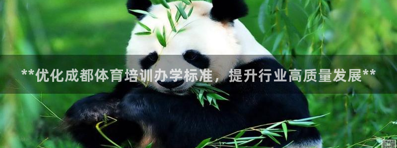 石家庄极悦空间设计有限公司：**优化成都体育培训办学