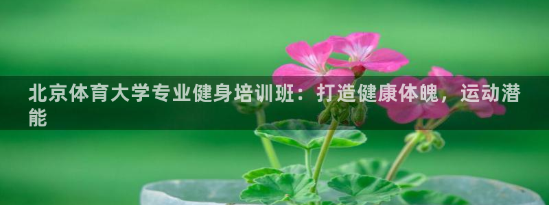 极悦娱乐百科百度：北京体育大学专业健身培训班：打造健