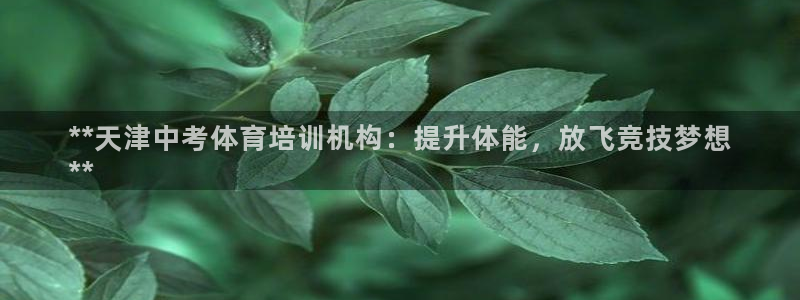 极悦平台客服团队名称：**天津中考体育培训机构：提升