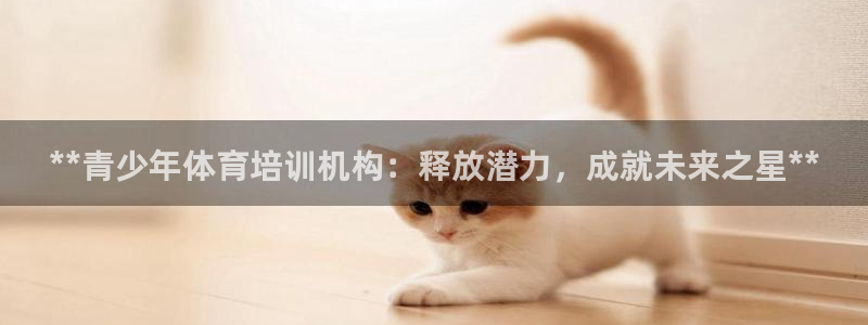 极悦平台平台注册方法与步骤：**青少年体育培训机构：
